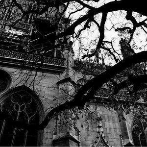 Meet your Posher, Piper